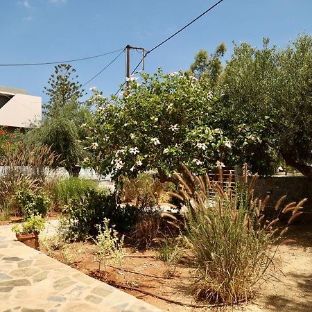 Cretanvibes Apartments Χερσόνησος Εξωτερικό φωτογραφία