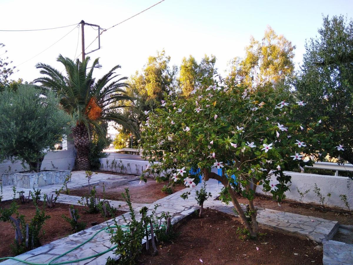 Cretanvibes Apartments Χερσόνησος Εξωτερικό φωτογραφία
